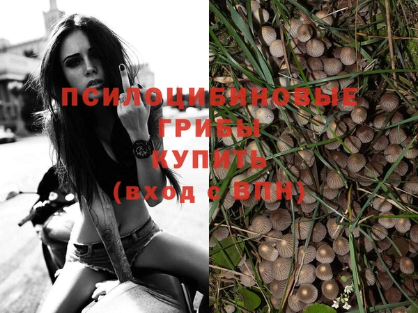 бошки Алексин