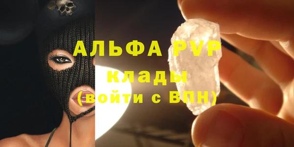 твердый Иннополис