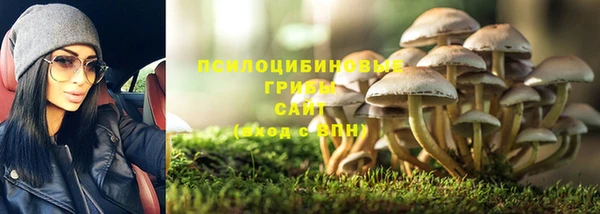 бошки Алексин